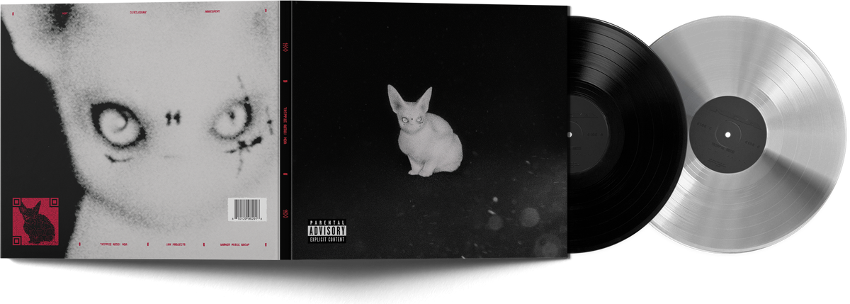 NDA (Black and Silver Vinyl)