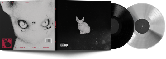 NDA (Black and Silver Vinyl)