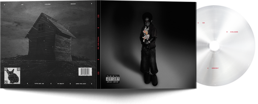 NDA (Silver CD)
